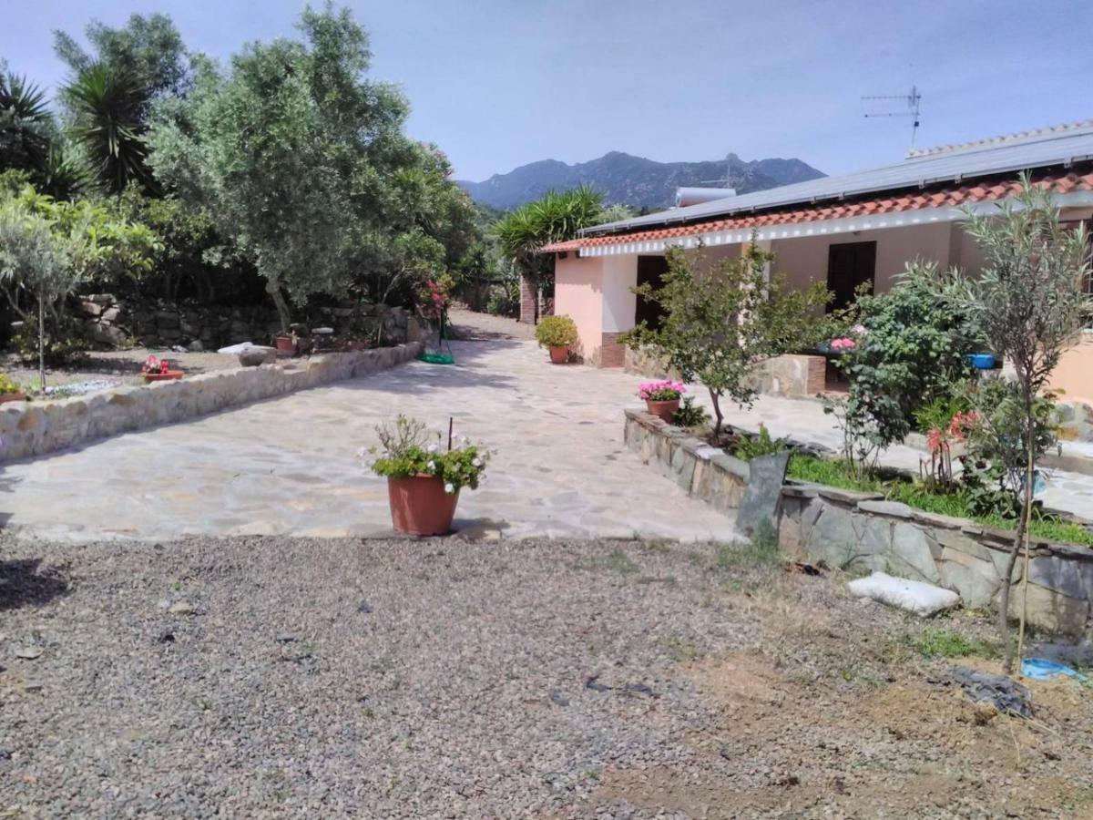Villa Agriturismo Camboni Annunziata  Exterior foto
